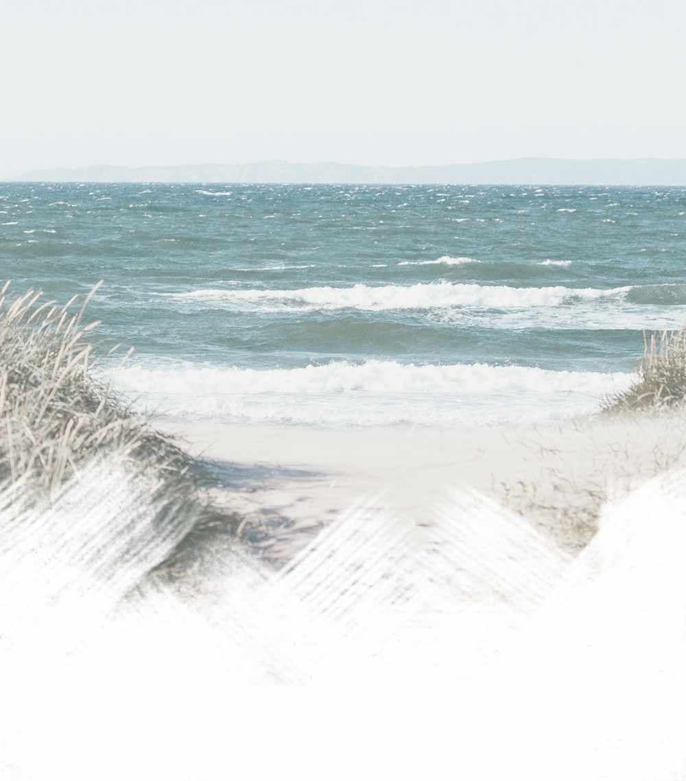 Backgroundmobile